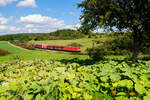 185 289 DB Cargo mit einem Erzzug bei Laaber Richtung Passau, 07.09.2020