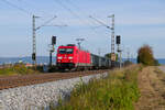 185 393 DB Cargo mit einem leeren E-Wagenzug bei Pölling Richtung Nürnberg, 18.10.2021
