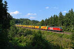 Am 09. September 2021 war die 1293.065 vor dem DGS 42171 von Kassel nach Verona Q.E. im Einsatz, der praktisch ausschließlich von den Speditionen nothegger und Frölich genutzt wird. Im Waldstück zwischen Grafing Bahnhof und Aßling konnte ich die Leistung fotografieren. 