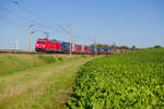 185 303 DB Cargo mit einem KLV-Zug bei Gollhofen Richtung Ansbach, 03.09.2021