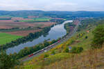 Eine unbekannt gebliebene 193 von DB Cargo mit einem KLV-Zug bei Gambach Richtung Würzburg, 07.10.2021