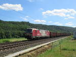ELOC 193 750 für Cargo Motion CZ mit schrottbeladenen Ea-Wagen nach Riesa Rbf in Kurort Rathen am 28.6.2025