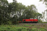 DB Cargo 294 614 // Im Dortmunder Fredebaumpark // 5.