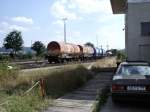 4  Plattlinger  beim Ablaufen vom Ablaufberg des ehemaligen Rangierbahnhofs Luitpoldhtte in der Nhe von Amberg.