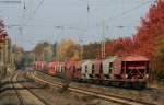 185 311-8 mit ihren Getreidewagen(?) bei der Durchfahrt Dettelbach 31.10.09