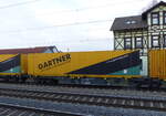 D-MFDR 37 80 4963 198-9 Sggmrss 146 der MFD Rail Group mit einem GARTNER-Container, am 10.01.2022 in einer Übergabe von Erfurt Gbf zum DUSS-Terminal Erfurt in Vieselbach.