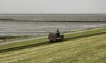 Während zahlreiche Vögel im Watt noch nach Nahrung suchen, kommt langsam die Flut. Eine offene Lore fährt auf der Halligbahn nach Oland oder Langeneß, die am Horizont sichtbare Autofähre  Nordfriesland  ist dagegen in Richtung Föhr/Amrum unterwegs (Dagebüll 05.07.2019).