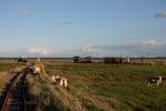 Auf Hallig Nordstrandischmoor am 22.09.2012. Im Vordergrund das Gleis zur Neuwarft und rechts der Halligbf mit Privatfahrzeugen der Halligbewohner.