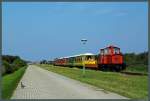 Aufgeschreckt durch den Zug der Inselbahn Langeoog hat sich ein Fasan auf die Hafenstraße gewagt und blickt verärgert auf den Störenfried.