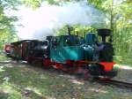 Zum Jubilum 20 jahre Dampf in der Wuhheide fuhr ein Zug mit den beiden Dampfloks Lowa und Luise als Doppelbespannung  6.10.07 13:00