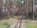 Mitten in der Wuhlheide eine Abzweigstelle der Berliner Parkeisenbahn am 11.April 2015.