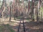 Von unzähligen Bahnübergangen aus lassen sich der Streckenlauf der Berliner Parkeisenbahn fotografieren.Aufnahme vom 11.April 2015.