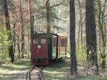 Das FEZ in der Wuhlheide ist ein groes Waldgebiet im Berliner Sdosten.