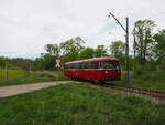 Buckower Kleinbahn - Saisonauftakt 2024    Da auf der nun nach EBO fahrenden Kleinbahn der eigene Fuhrpark noch einer Abnahme bedurfte, halfen die Berliner Eisenbahnfreunde mit einem VT 95 (795 396)