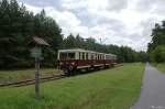 BR 279 004-6 und BR 279 003-8 der Buckower Kleinbahn zwischen Buckow (Mrkische Schweiz ) und Waldsieversdorf  Aufgenommen bei einer Wanderung entlang der Buckower Kleinbahn von Buckow bis Mncheberg