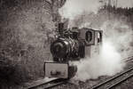 Fahrtag in der Feld- und Grubenbahnmuseum Fortuna (FGF) in Solms-Oberbiel 17.3.23. Dampflok Nr.1 (Henschel Preller).