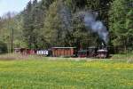 FGF Fahrtag am 01.05.2012  --  Die Krauss-Lok  MARTHA  befindet sich am Ende der Steigung kurz vor der groen Buche.