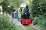 Fahrtag beim Feld- und Grubenbahnmuseum Fortuna am 10.09.2006: Lok 1 befindet sich mit dem Musemszug im Lichtungsbereich der Waldstrecke.