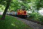 Auch Diesellok 6003 war zur Kindertagsparty im Kchwald im Einsatz.06.06.10