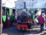 Feldbahndampflokomotive  Fabian  im Frankfurter Feldbahnmuseum.7.3.10.
