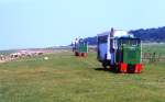 Die Bahn zu den Feldern der Neuland-Gewinnung zwischen Cuxhaven Sahlenburg und Spieka hatte ihren  Betriebsmittelpunkt  in Arensch.