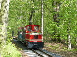 Schöma 6006 vor einem gut genutzten Zug der Parkeisenbahn in Chemnitz am 6.5.2016.