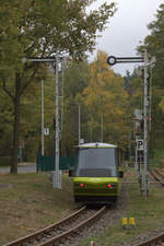 Obwohl die Formsignale nicht die Regelhöhe haben, wirken sie riesig gegenüber dem Triebzug 299 010 der Cottbusser Parkeisenbahn.