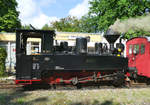 06. August 2016, Die Cottbuser Parkeisenbahn setzte heute ihre Dampflok 99 0001, der 1918 von Linke-Hofmann in Breslau für die Heeresfeldbahnen gebauten Brigadelok HF2257, ein. Die Lok gelangte zunächst über ein Demobilisierungslager in den Osten, genaue Einsatzorte sind nicht bekannt. Nach dem Zweiten Weltkrieg und der Rückführung übernahm sie die Waldeisenbahn Muskau. Hier bezeichnete man sie als Lok 1739. Ab 1946 kam sie auf den Strecken des Braunkohlenwerks  Frieden  in Weißwasser als Werklok 138 zum Einsatz. Seit 1954 fährt die Lok bei der Parkeisenbahn Cottbus (früher Pioniereisenbahn Cottbus).