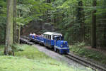 Parkeisenbahn im Tierpark // Gera // 14. August 2013