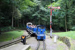 Parkeisenbahn im Tierpark // Gera // 14. August 2013
