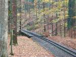 Die Br�cke der Parkeisenbahn Gera �ber den Martinsgrund, am 31.10.2025.