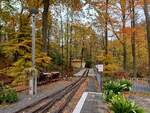 Ausfahrtsblick der Parkeisenbahn Gera am 31.10.2025 im Bahnhof Wolfsgehege.