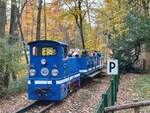 Die 399 312-8 der Parkeisenbahn Gera am 31.10.2025 mit einem Zug kurz hinter dem Bahnhof Wolfsgehege.
