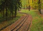 Das Streckengleis zwischen den Bahnhöfen Martinsgrund und Wolfsgehege am 22.10.2015.