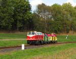 Die EL 9-002 der Parkeisenbahn Vatterode am 02.10.2016 mit einem Zug zwischen den Bahnhfen Wippergrund und Mansfeld Schleife.
