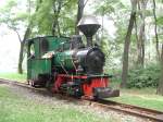Waldeisenbahn Muskau,Lok 7790 von Krauss Mnchen,beim umsetzen in Kromlau (Landschaftspark) von der einst 70 km Streckenlnge werden heute noch 20 km befahren.Kromlau am 11.08.04