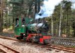 Dampf bei der Waldeisenbahn Muskau, 2006