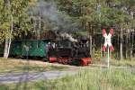 Internationales Feldbahntreffen bei der Waldeisenbahn Muskau am 12.10.2012  --  Die  Diana  mit ihrem Personenzug nach Weiwasser an einem Bahnbergang bei Krauschwitz  --  Weitere Fotos siehe auch in