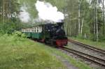 Lok 99 3312-8 mit Volldampf unterwegs in Richtung Kromlau. Muskauer Waldeisenbahn am 28.05.2005