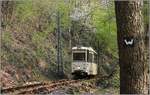 Nahe der Haltestelle Kaltenbach ist Triebwagen 337 Richtung Kohlfurter Brücke unterwegs.