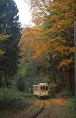 Auf dem Weg von Kohlfurther Brücke nach Greuel fährt Tw 107 am 30.10.2010 in die romantisch im Wald gelegene Haltestelle Kaltenbach ein