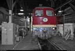 Colorkey-Experiment mit 232 109-9 (132 109-0) der Leipziger Eisenbahnverkehrsgesellschaft mbH (LEG), die anlässlich des Sommerfests unter dem Motto  Diesellokomotiven der ehemaligen DR  im