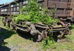 Überwuchertes Drehgestell? im DB-Museum Koblenz-Lützel - 19.07.2016