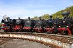 Dampfloks 044 377-0, 66 002, 55 3345, 74 1192, 97 502, 146 BLE  ELNA  im Eisenbahnmuseum Bochum Dahlhausen, April 2017.