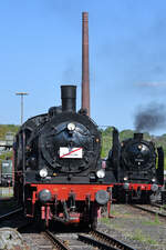 Die Dampflokomotiven 38 2267 und 01 066 sind hier Ende April 2025 gemeinsam auf dem Gelände des Eisenbahnmuseums in Bochum zu sehen.