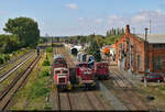 Nachschuss auf 298 135-5 (201 135-1 | 110 135-1 | DR V 100 135), die inmitten der Loks und Wagen des Eisenbahnclubs Aschersleben rangiert, um anlässlich des 32. Verkehrshistorischen Wochenendes Führerstandsmitfahrten anzubieten.
Aufgenommen von der Brücke Magdeburger Chaussee (B 180).

🧰 Lokführerdienstleistungen Olof Stille (LOK OST)
🕓 11.9.2022 | 14:53 Uhr