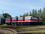 TEV 250 250-8 + FWK 243 936-2 + DB Museum 243 117-9 + EBS 243 822-4 am 01.06.2019 beim Sommerfest im Eisenbahnmuseum Weimar.
