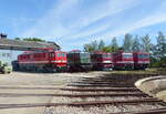 TEV 242 151, DB Museum 211 049 + 251 012, DB 143 117 und TEV 250 250 am 01.08.2020 beim TEV-Sommerfest im Eisenbahnmuseum Weimar.