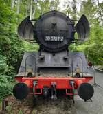 50 3707 / ehem. 50 624 | Natur Park Südgelände | Mai 2025