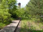 Berlin,Naturpark Schnerberger Sdgelnde.Der noch vorhandene Wasserturm,erbaut 1927(Man sieht noch die Granaten Einschlge aus dem Krieg)  viele Gleise,Weichen und andere Eisenbahnrelikte.Zwischen
